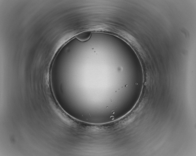 X0000111891234200907231549