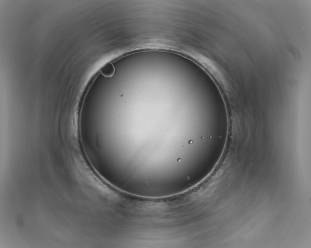 X0000111891238200907231549