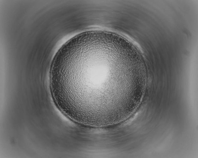 X0000111891239200907231549