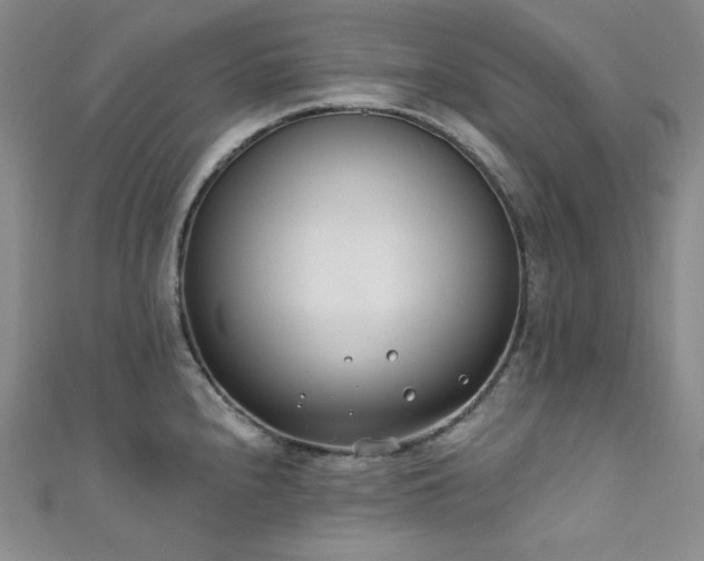 X0000111891240200907231549