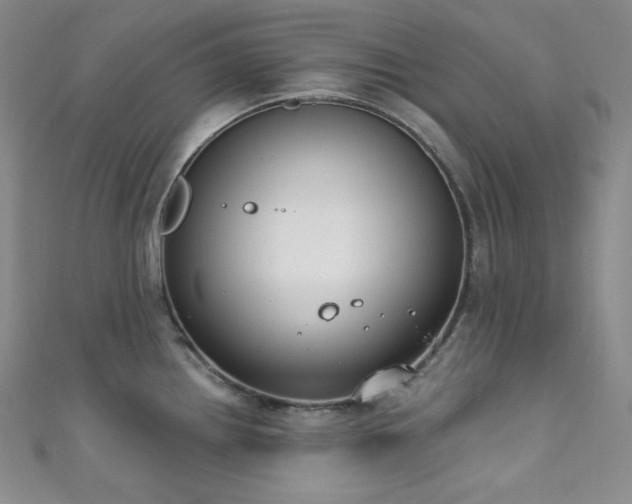 X0000111891242200907231549