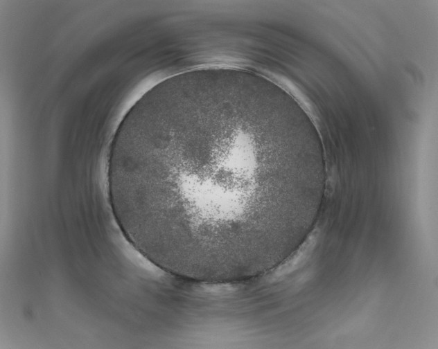 X0000111891243200907231549