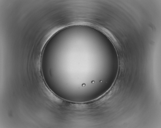X0000111891244200907231549