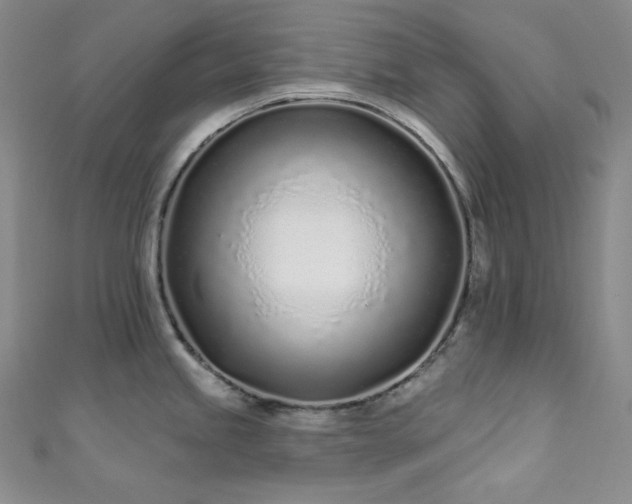 X0000111891245200907231549