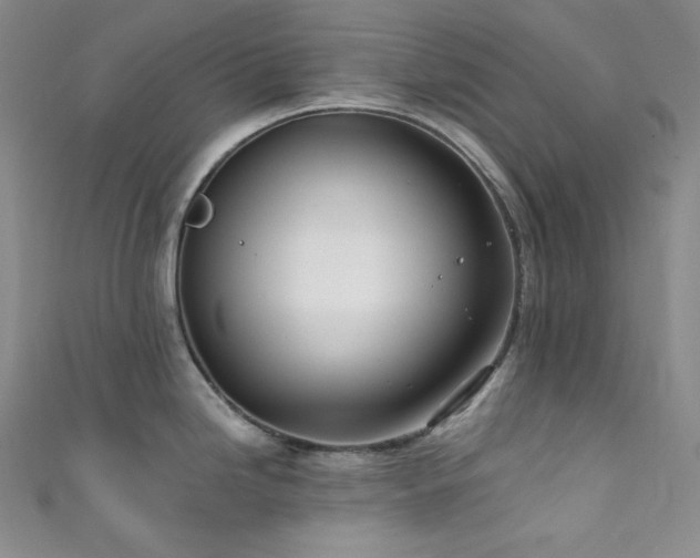 X0000111891246200907231549