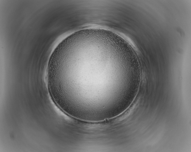 X0000111891247200907231549
