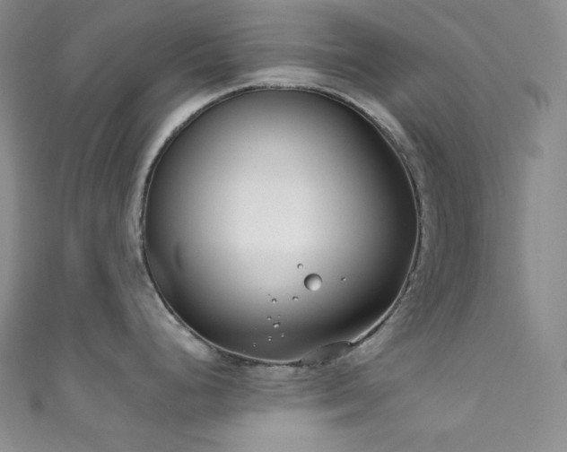 X0000111891248200907231549