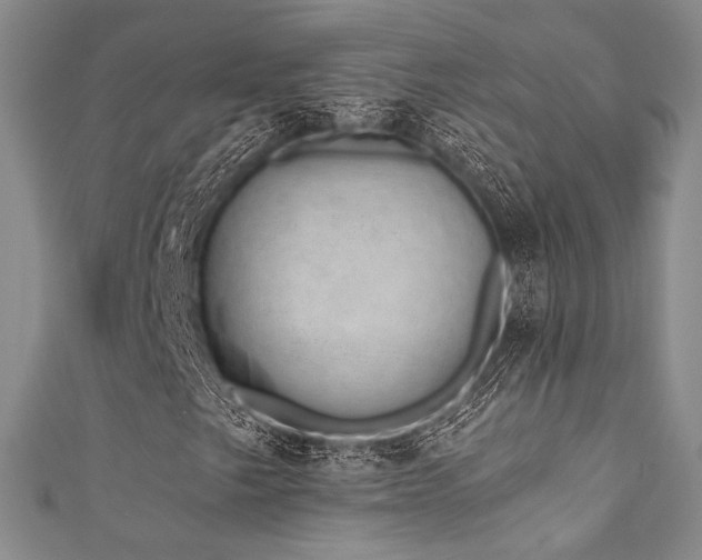 X0000111891249200907231549