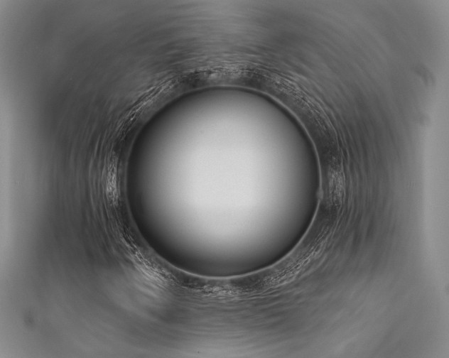 X0000111891250200907231549