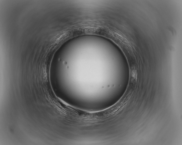 X0000111891252200907231549