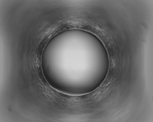X0000111891253200907231549