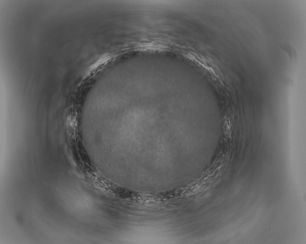 X0000111891254200907231549