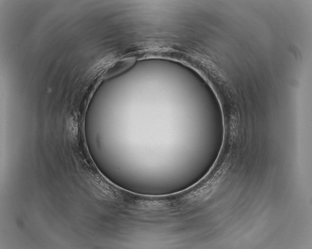 X0000111891257200907231549