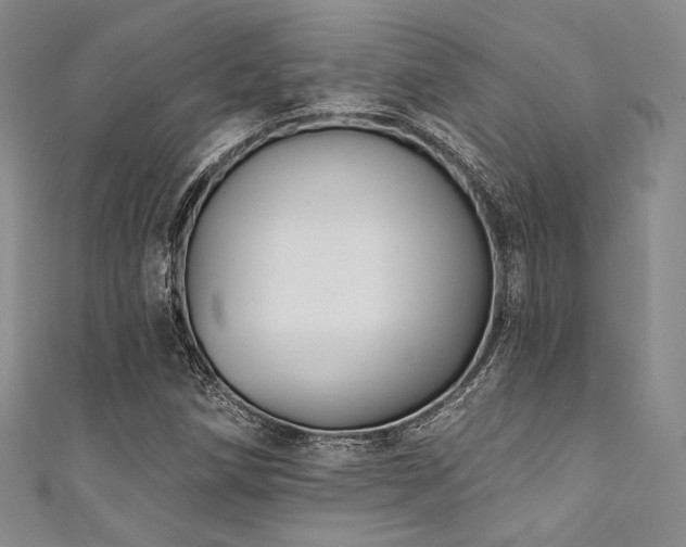 X0000111891258200907231549