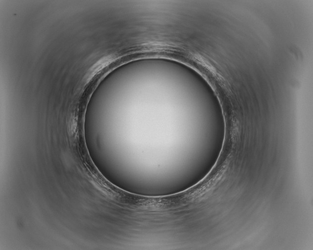 X0000111891259200907231548