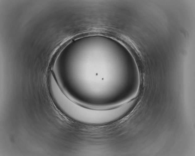 X0000111891260200907231548
