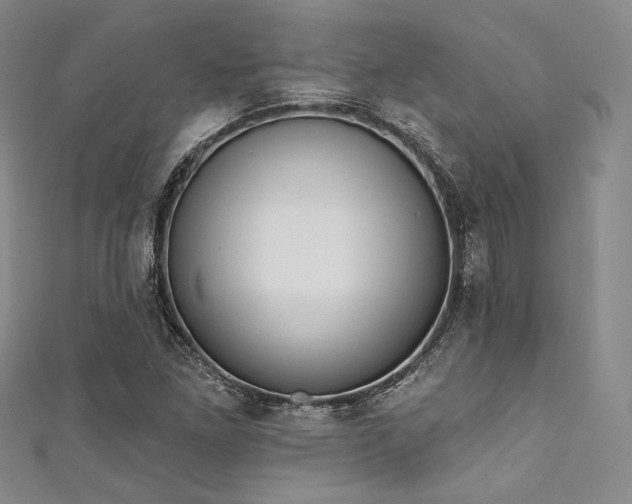 X0000111891261200907231548