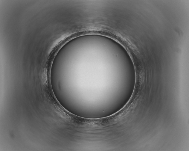X0000111891262200907231548