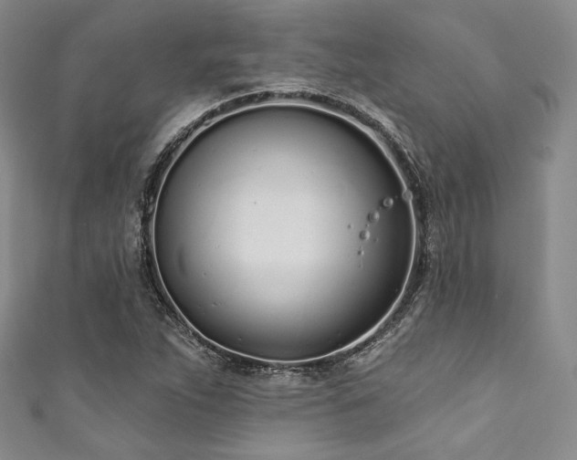 X0000111891263200907231548
