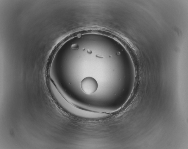 X0000111891264200907231548