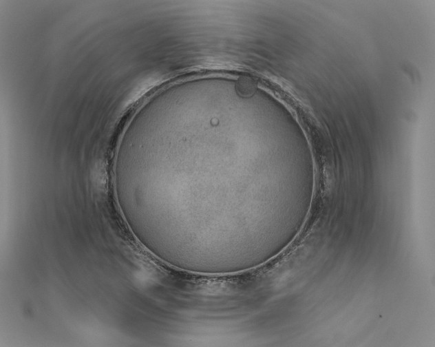 X0000111891266200907231548