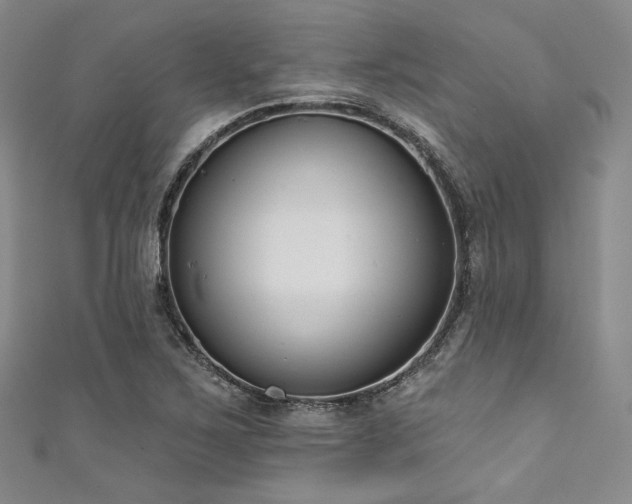 X0000111891267200907231548