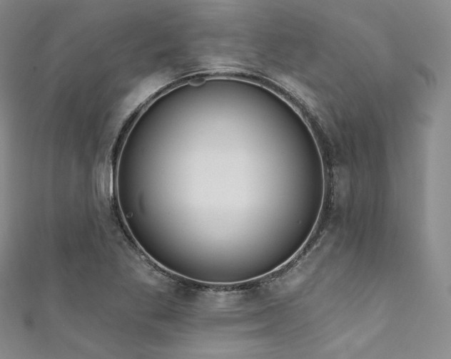 X0000111891269200907231548