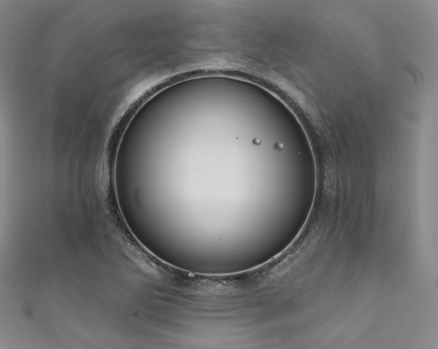 X0000111891270200907231548