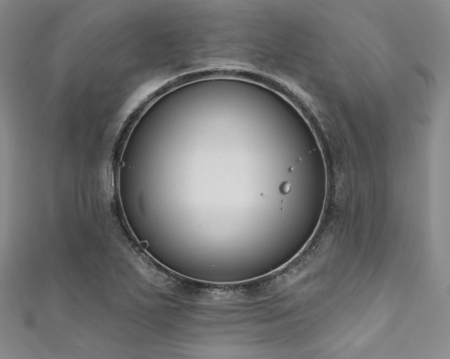 X0000111891271200907231548