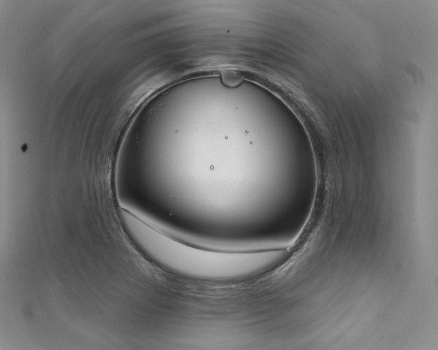 X0000111891273200907231548