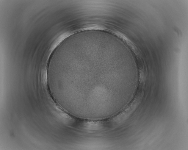 X0000111891274200907231548