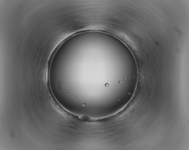 X0000111891276200907231548