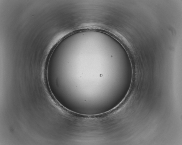 X0000111891277200907231548