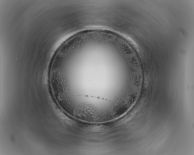 X0000111891279200907231548