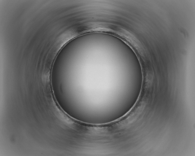 X0000111891281200907231548