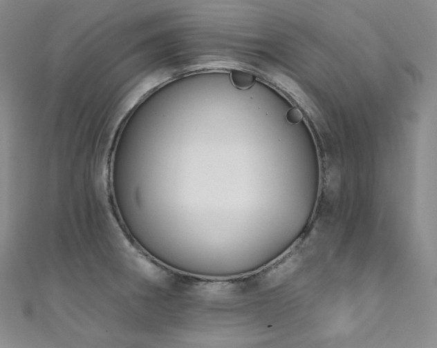 X0000111891282200907231548