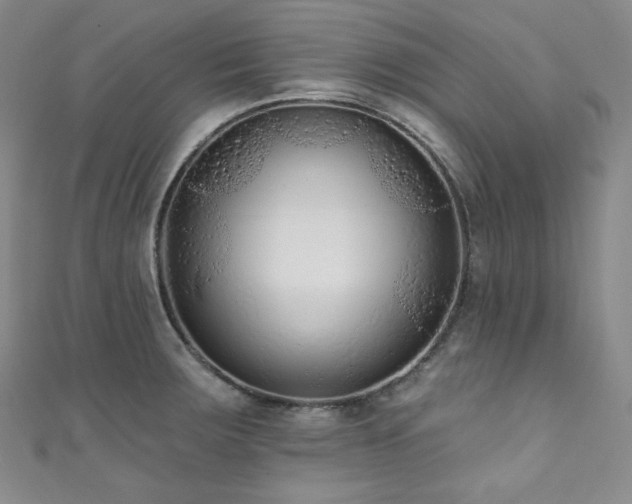 X0000111891283200907231548