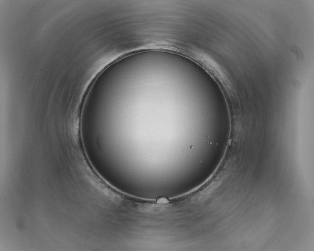 X0000111891284200907231548