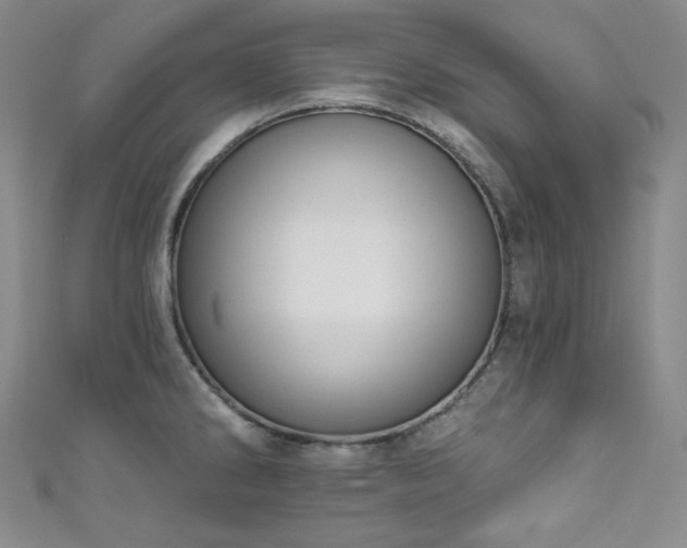 X0000111891286200907231548