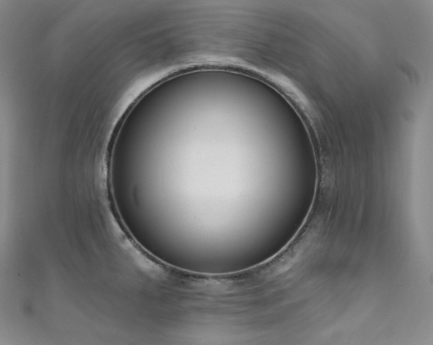 X0000111891287200907231548