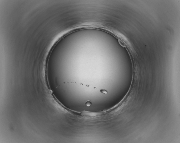 X0000111891288200907231548