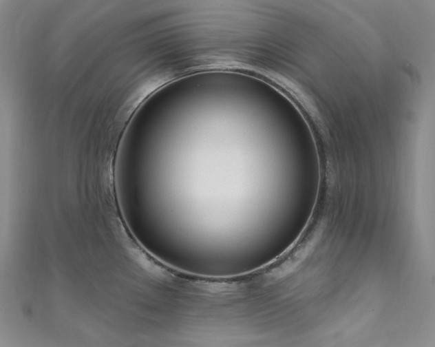X0000111891289200907231548