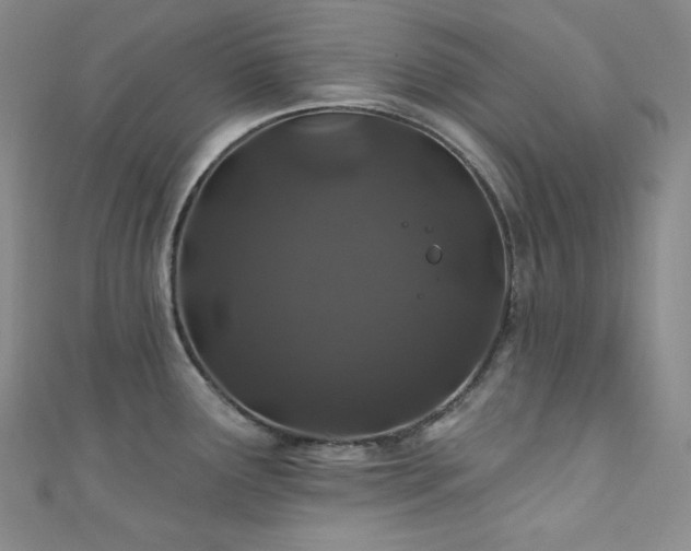 X0000111891291200907231548