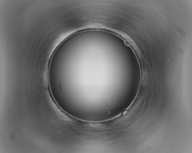 X0000111891295200907231548