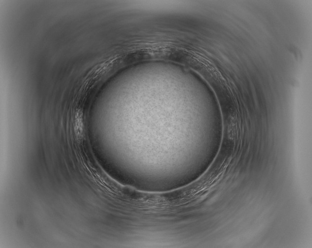 X0000111891298200907231547