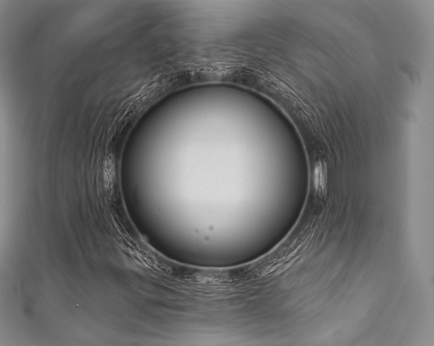 X0000111891299200907231547