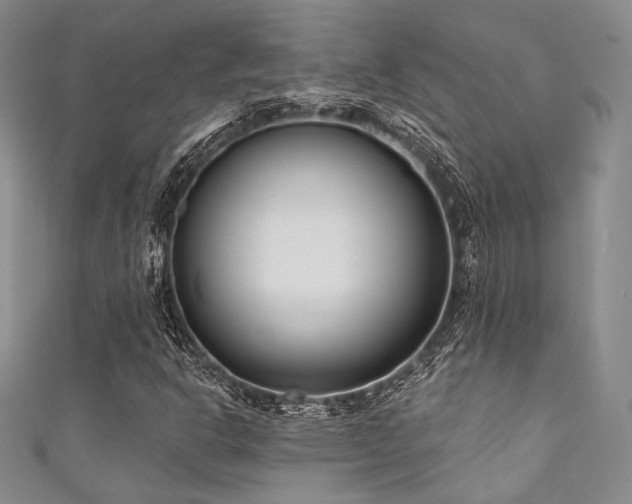 X0000111891302200907231547