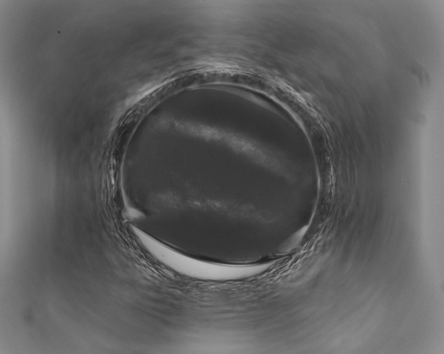 X0000111891303200907231547