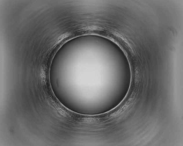 X0000111891305200907231548