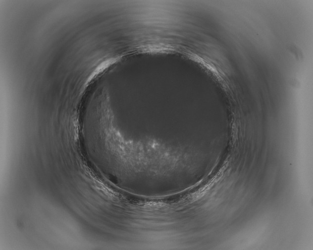 X0000111891306200907231548